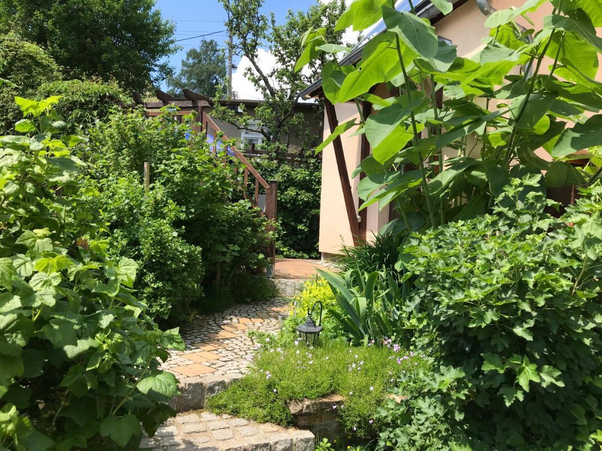 Ferienwohnung Baumann Schwarzenberg  Buitenkant foto