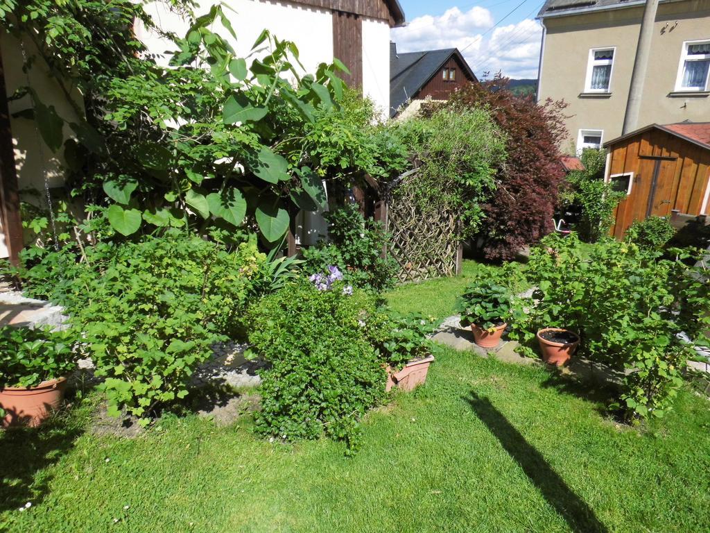 Ferienwohnung Baumann Schwarzenberg  Buitenkant foto